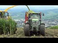 ensilage