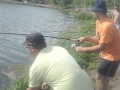 pescuit la crap fundulea 2 luna iunie 2014