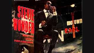 Watch Stevie Wonder Drown In My Own Tears video