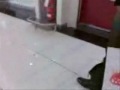 sexy cosce sculettanti a passeggio