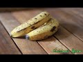 Mon petit déjeuner végétalien : Porridge à la banane Mon petit déjeuner végétalien : Porridge à la banane