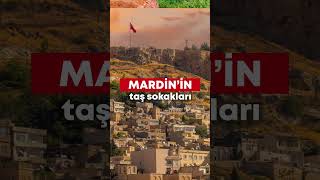 Uçaklı Gap Turu Setur