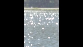 West Lake Winona Minnesota