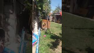 17 Август 2018 Г.