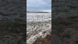 The break up of Albany River near Kashechewan Spring 2022.