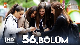Kırgın Çiçekler 56. Bölüm Hd