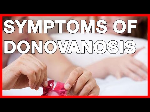Symptoms of Donovanosis or Granuloma inguinale: Treatment and Transmission
