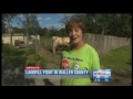 Hempstead TX video: Hempstead Texas Landfill Battle - KHOU - Reporter Brad Woodard Billboard Story