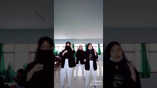 Tiktok Kang Copet