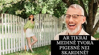 Ar Tikrai Medinė Tvora Pigesnė Už Skardinę? Nustebsite Paskaičiavę.