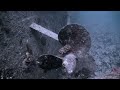 scuba diving
