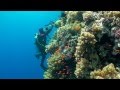 SCUBA Diving Egypt Red Sea - Underwater Video HD