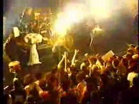 Le P'tit Bonheur Video