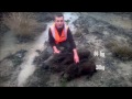 chasse