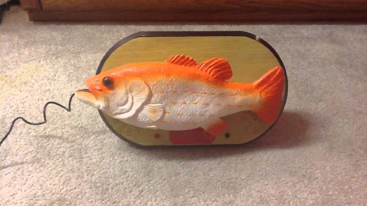 new year singing fish new year singing fish new year singing fish new year singing fish
