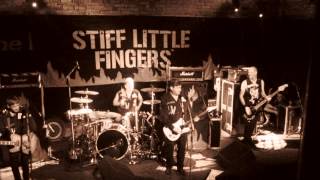 Watch Stiff Little Fingers Love Of The Common People video