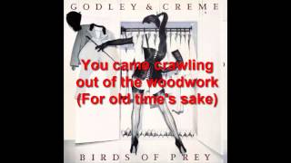 Watch Godley Creme Woodwork video