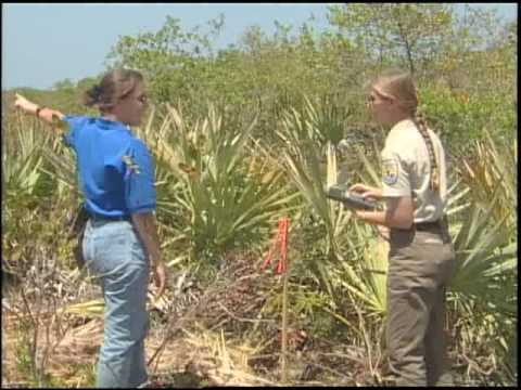 Florida Fish  Wildlife on Of America In Changing Climate  The Us Fish And Wildlife Service Mpg