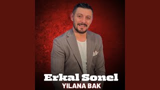 Yılana Bak Canlı Performans
