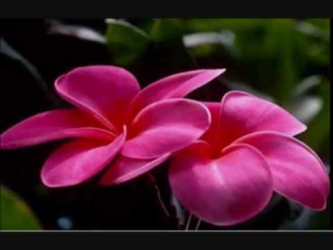 Yeh Haseen Wadiyan by Nitin and Jaysri