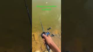 Googan Contender Swimbait