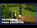 Nevizadeler, Şadan'ın Çaldığı Paraları Geri Dağıtıyor! - Ulan İstanbul 4. Bölüm