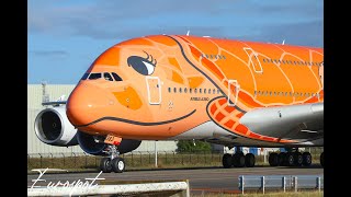 Ana - Delivery Flight 3Rd And Last Airbus A380 - Last A380 Delivered From Toulouse - Live