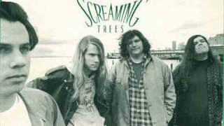 Watch Screaming Trees What Goes On video