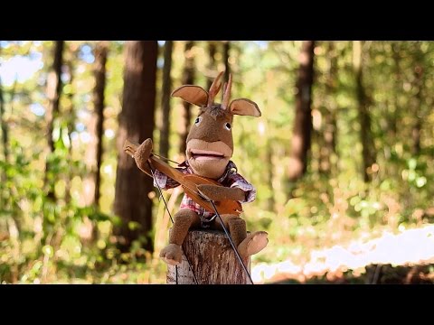 Jackalope Video
