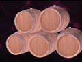 Video ENOSIS.5 / The Aging of Wines