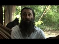 Ayahuasca can heal drug addiction