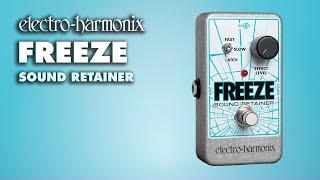 Electro-Harmonix Freeze Sound Retainer Demo