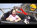 Cats and Dogs 2022 / Funniest Animals Video