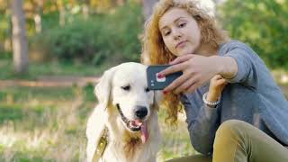 05 National Pet Week | JUNE2018 16:9