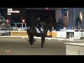 HorseJunkiesUnited.com - Steffen Peters and Ravel Win Freestyle World Dressage Masters