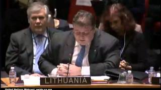 анти-российская речь Линкявичюса (Литва) в Совбезе ООН 23.02.2015