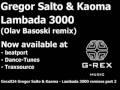 Gregor Salto and Kaoma - Lambada 3000 (Olav Basoski remix)