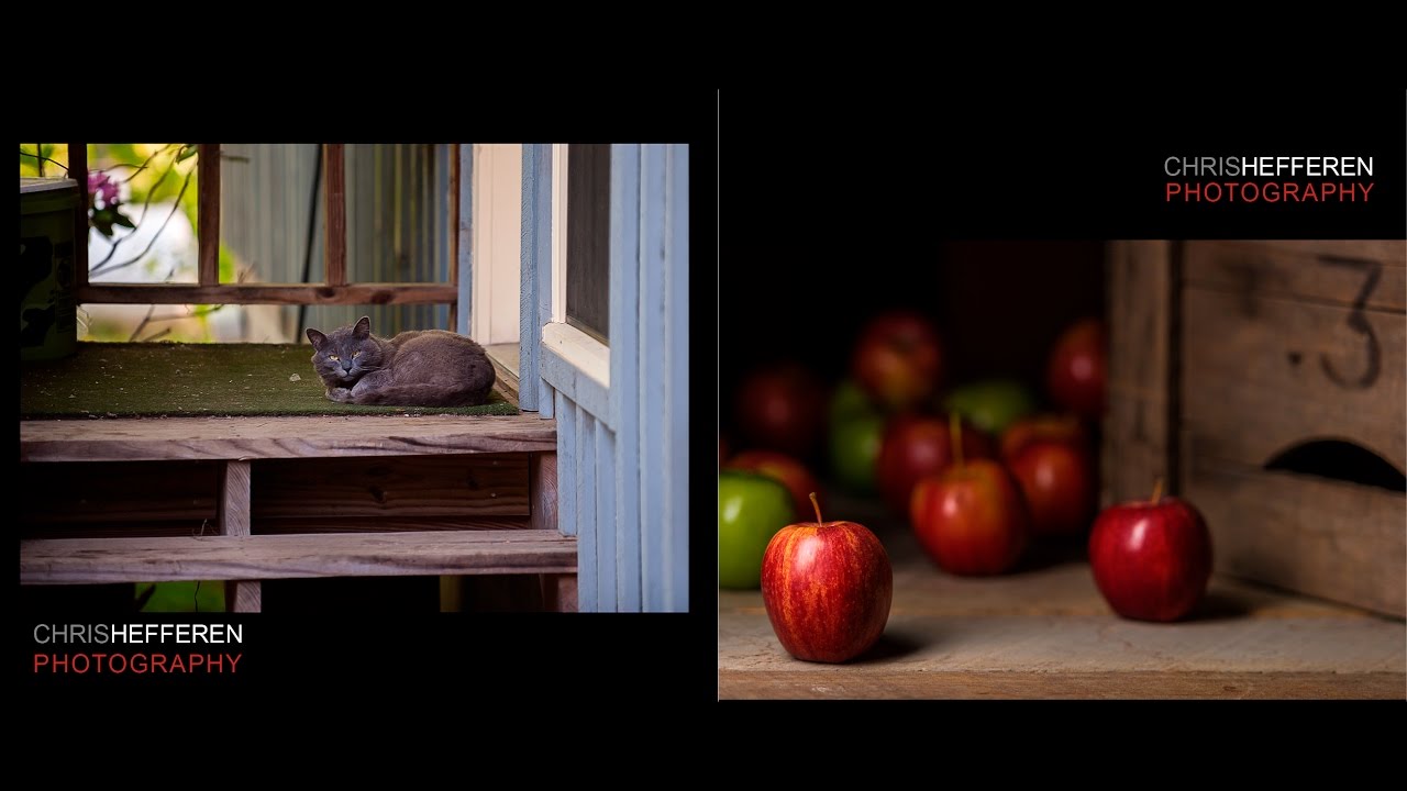 Still & Video Portfolio