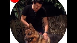 Köpek Kulübü 05323438041