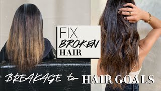 My Hair Journey | How I Restored Hair Breakage After Bleaching & Extensions! How I Grew My Hair Back