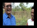 image Resep Mudah Budidaya Ikan Lele Bantul
