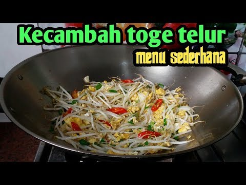 Cara masak tumis toge telur menu sederhana