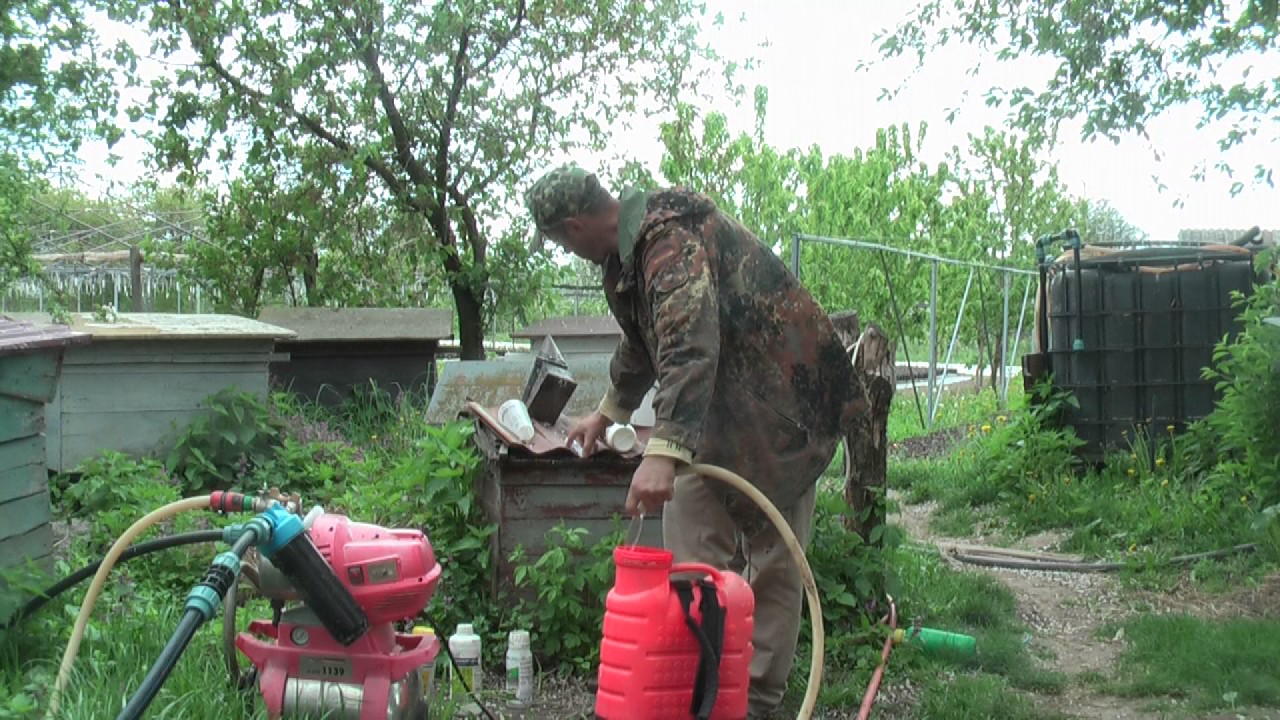 Васильки из гофрированной бумаги с конфетой своими руками 40