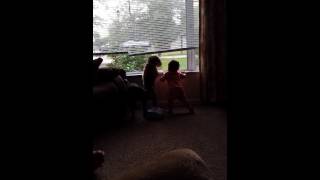 Staffy Fears Almost 11 Month Old Baby