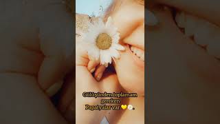 Yenede Papatya . Papatya Severler Için Sounds App 2020.