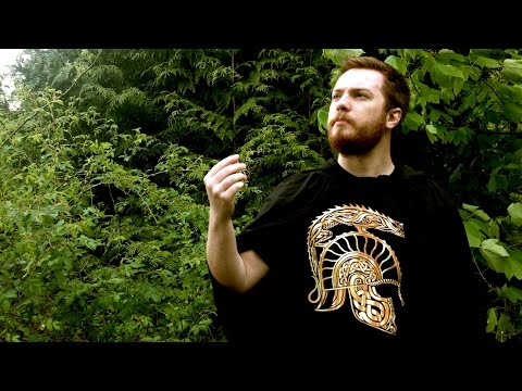 Die Sage Nimrodels Video
