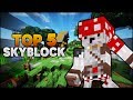 MK ĐẠT TOP 5 SERVER SKYBLOCK HECTING MINECRAFT IP : LUCKYVN.COM - MK Gaming