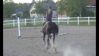Mysan Hoppning