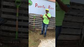 Testiminio de Santos Colon