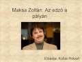 Maksa Zoltán - Az edző a pályán